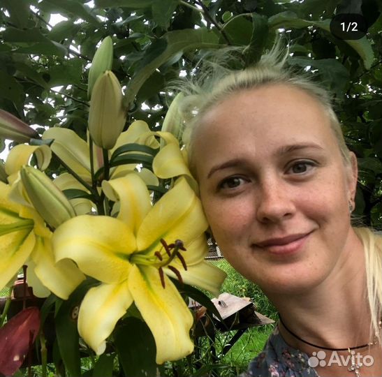 Услуги садовника