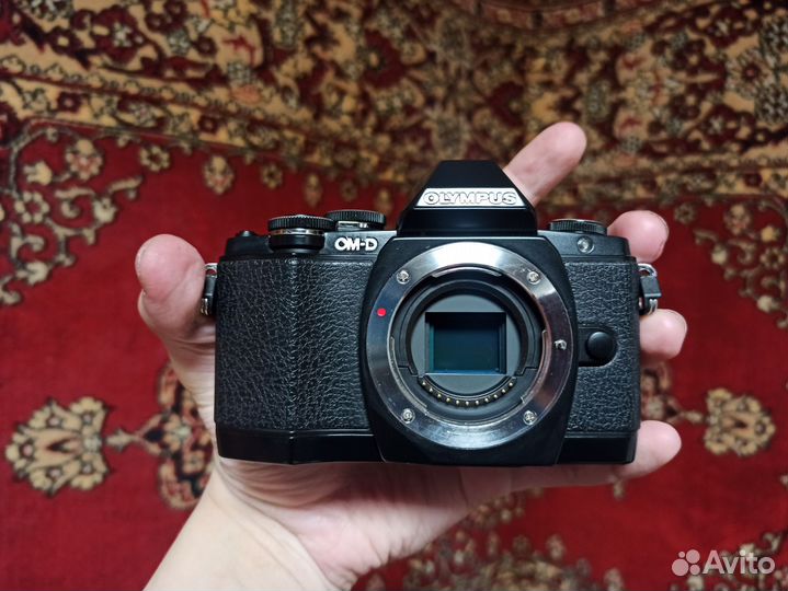 Olympus om d e m10