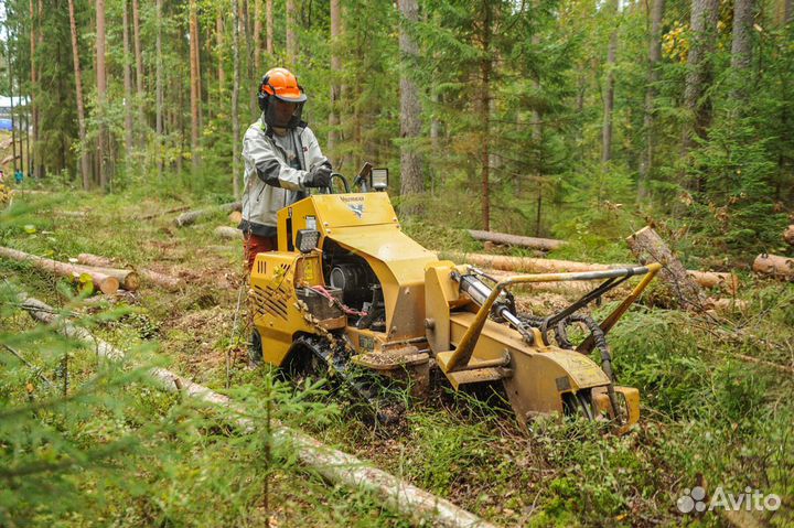 Удалить пень, корчевка пня, фрезеровка пней, пни