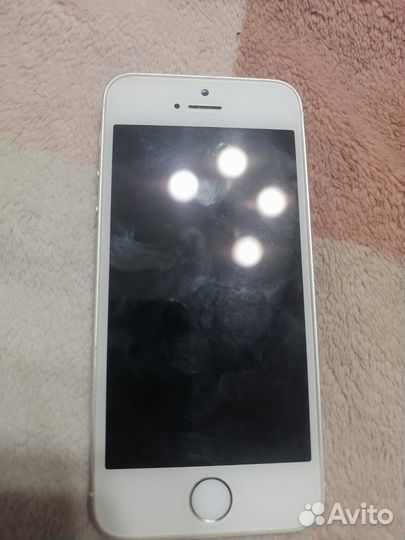 Дисплей iPhone 5s