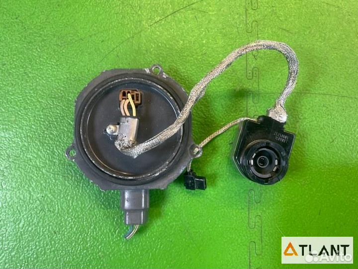 Блок ксенона nissan elgrand