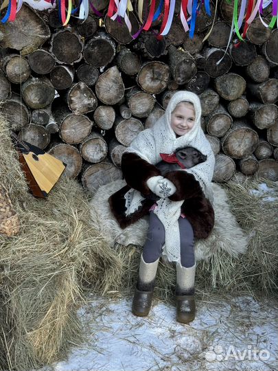 Минипиг Пумба