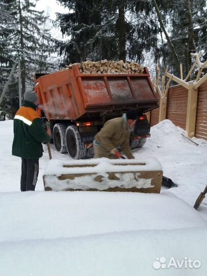 Дрова березовые