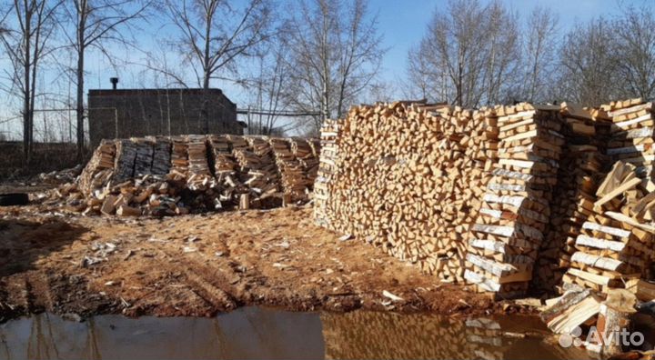 Дрова березовые
