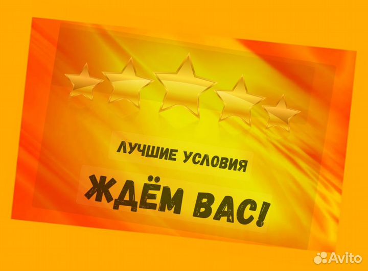 Сортировщик Еженедельный аванс Спецодежда М/Ж