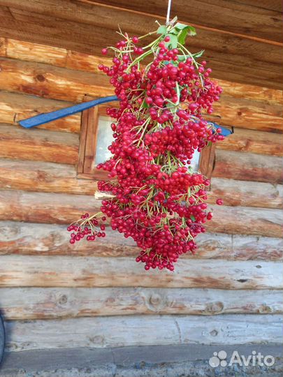 Сушеные травы