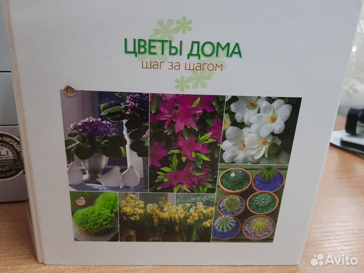 Папка цветы дома