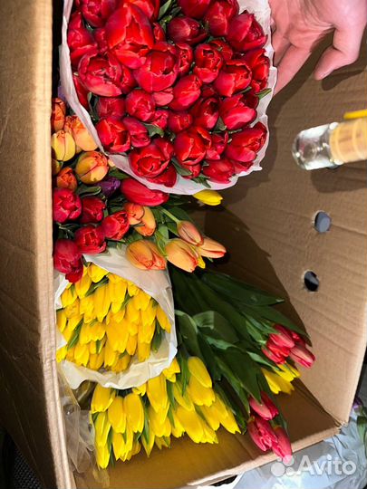 Тюльпаны в розницу 85 р
