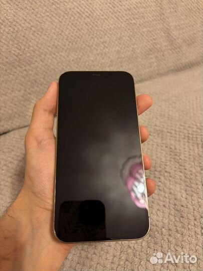 iPhone 12 Pro Max, 256 ГБ