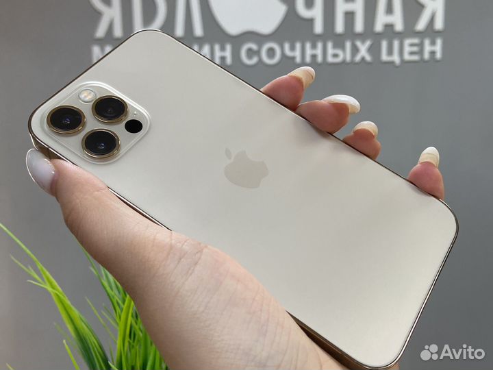 iPhone 12 Pro, 256 ГБ