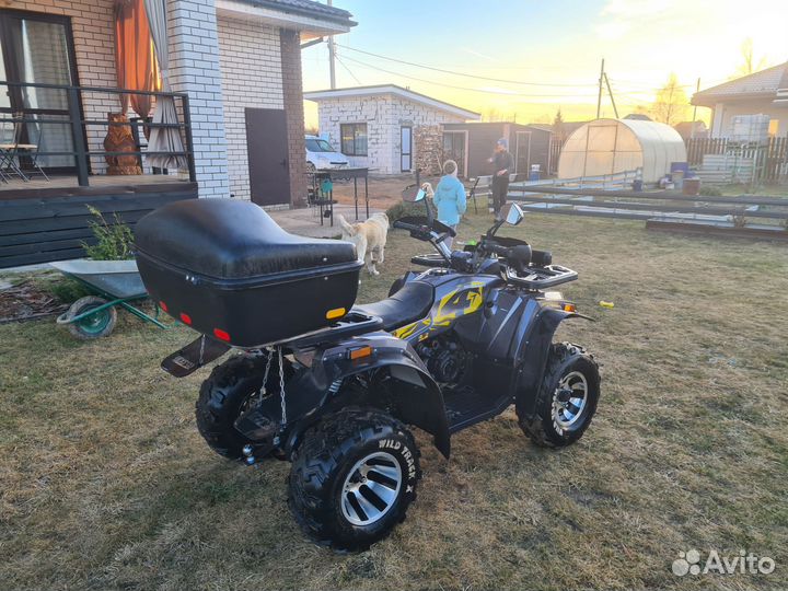 Квадроцикл Motoland wild track 200 PRO X