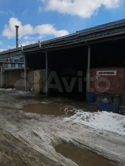 Свободного назначения, 704 м²