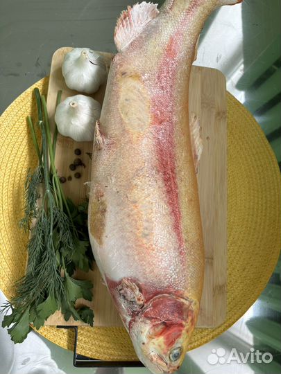 Рыба красная