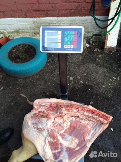 Домашняя свинина