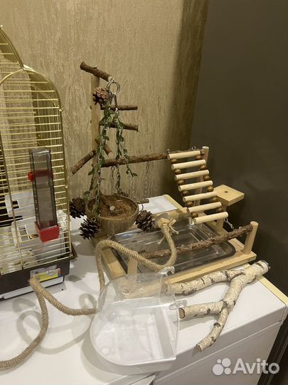 Попугай какарик с клеткой