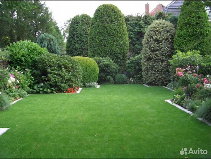 Рулонный газон доставка спортивный