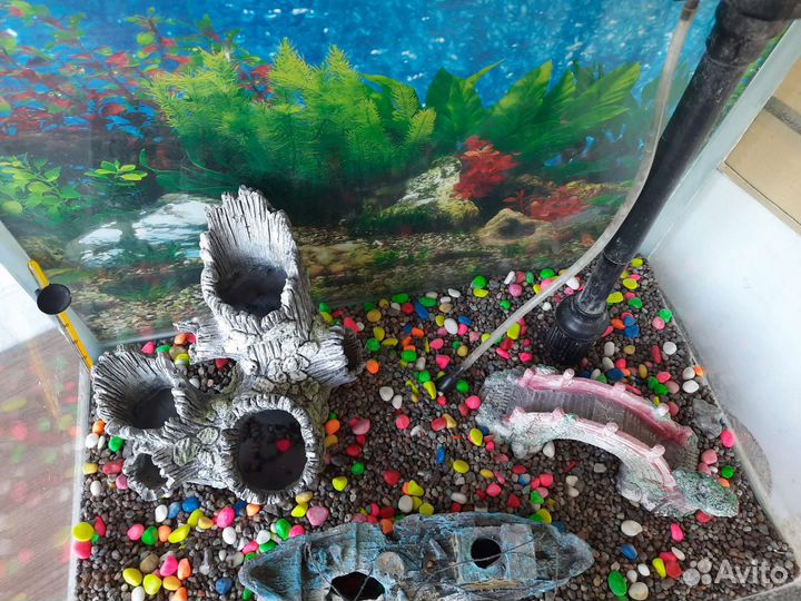 Аквариум
