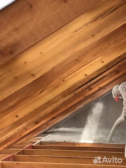 Эковата- лучшее решение в вопросе утепления дома