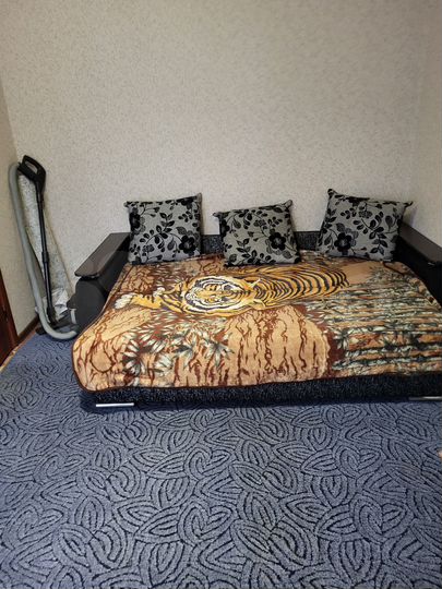 1-к. квартира, 30 м², 2/3 эт.