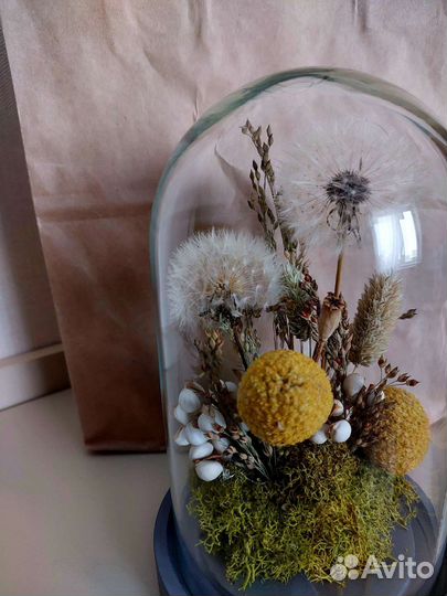 Клош со стаб цветами В подарок