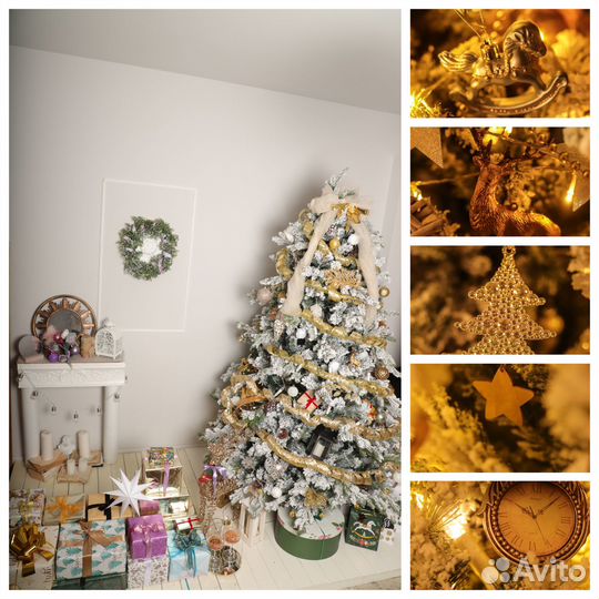 Аренда фотостудии Rada R