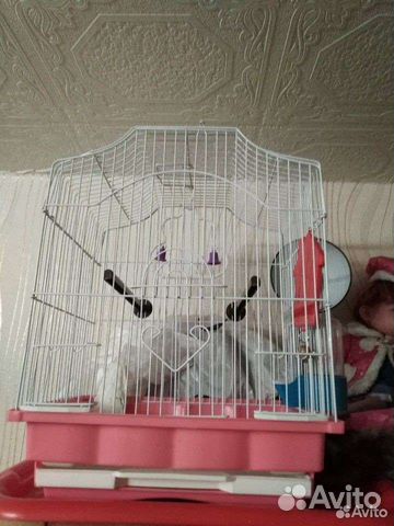 Продаётся клетка для попугая в отличном состоянии