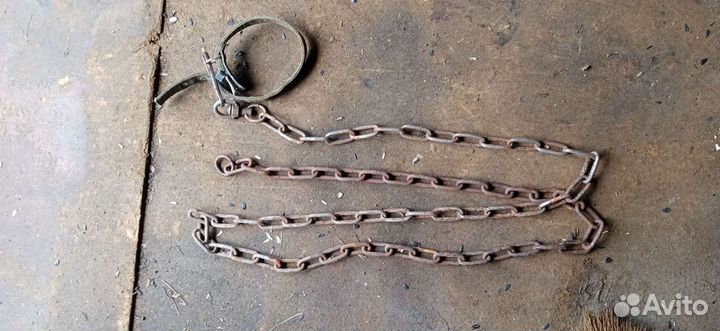 Цепь и ошейник для собак