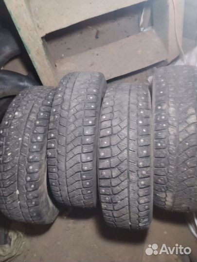 Viatti Bosco Nordico V-523 175/70 R14