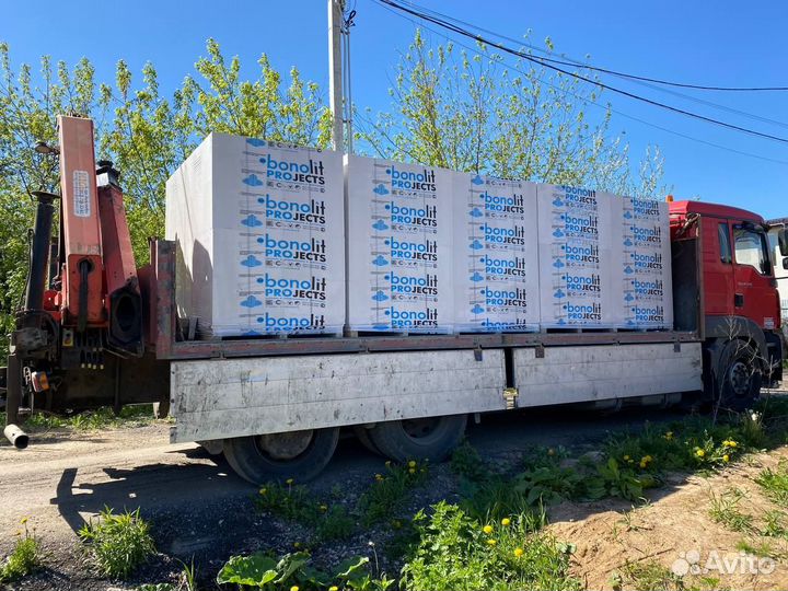 Газоблок 250