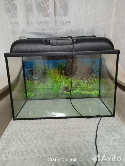 Аквариум