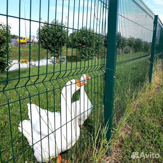 3Д сетка от производителя