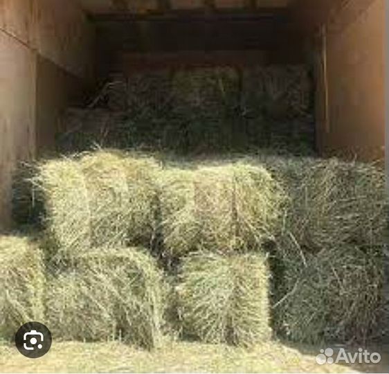 Сено в тюках