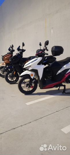 Аренда скутера