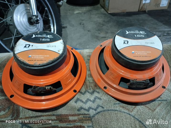 Dl audio barracuda 165