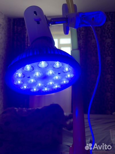 Лампа от желтушки