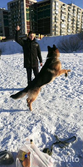 Не плановая вязка
