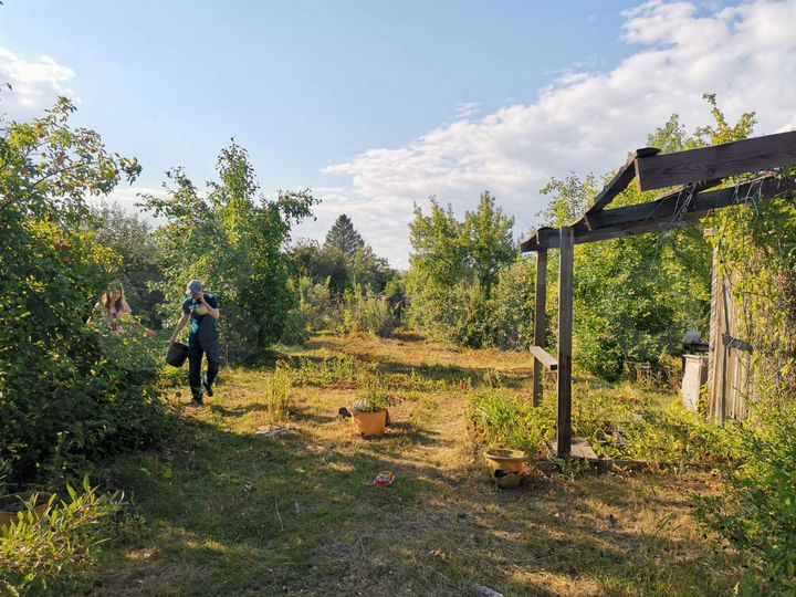 Участок 8,5 сот. (СНТ, ДНП)
