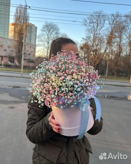 Коробочки с Радужной Гипсофилой. Цветы