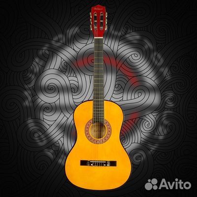 Гитара + чехол (аксессуары)