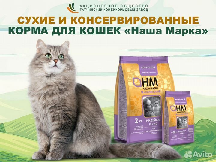 Премиальные корма для кошек и собак
