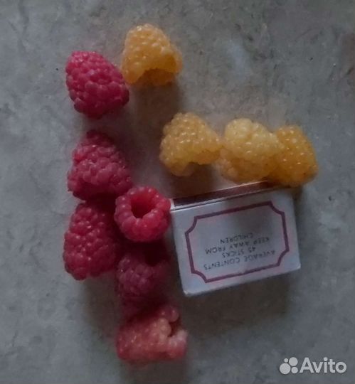 Саженцы малины