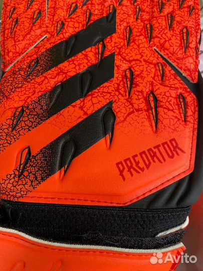 Вратарские перчатки adidas predator match