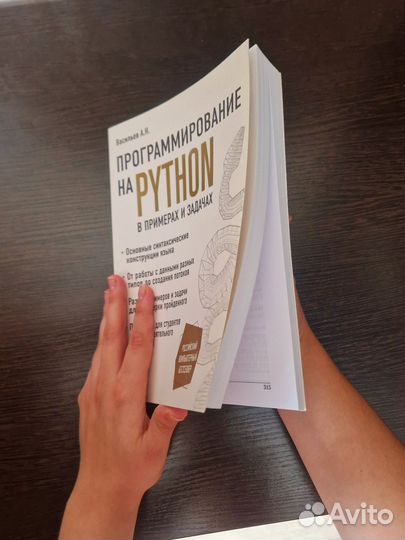 Программирование на Python в примерах и задачах