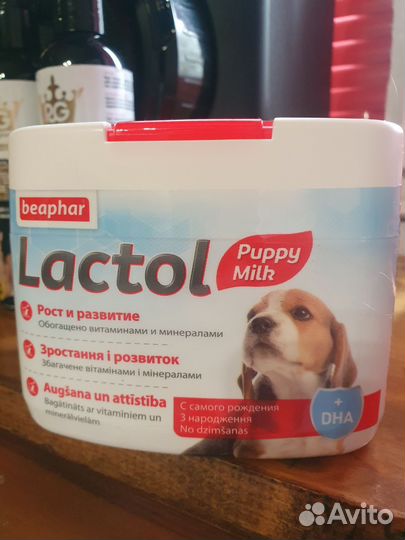 LactoI молоко для цущенят