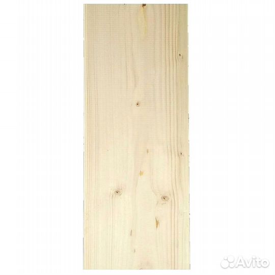 Планкен хвоя прямой