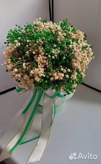 Растения