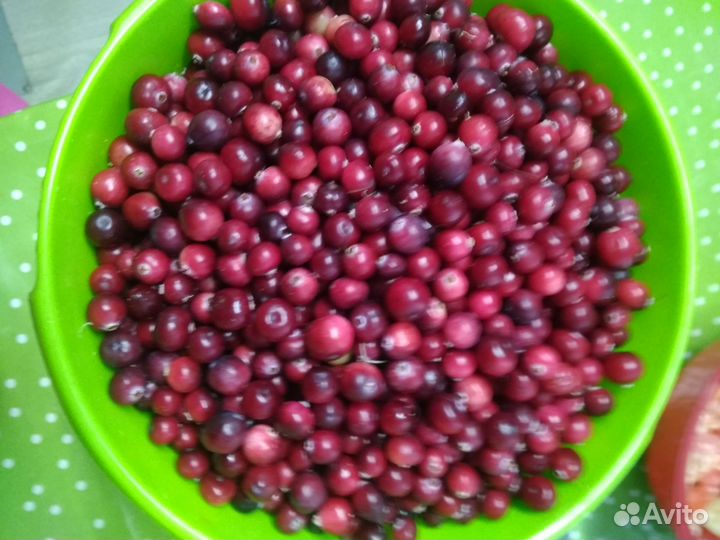 Клюква свежая