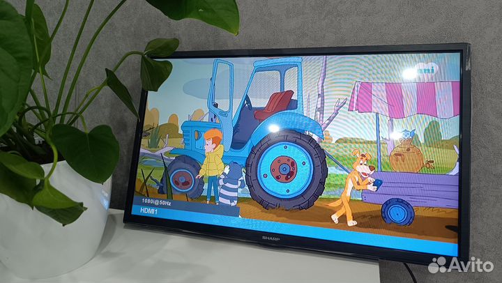 Телевизор SharpLC-24CHG5112E