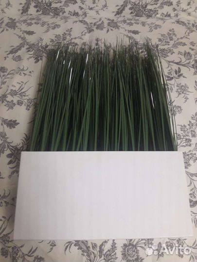 Икея Новые Растения в кашпо Трава высокая