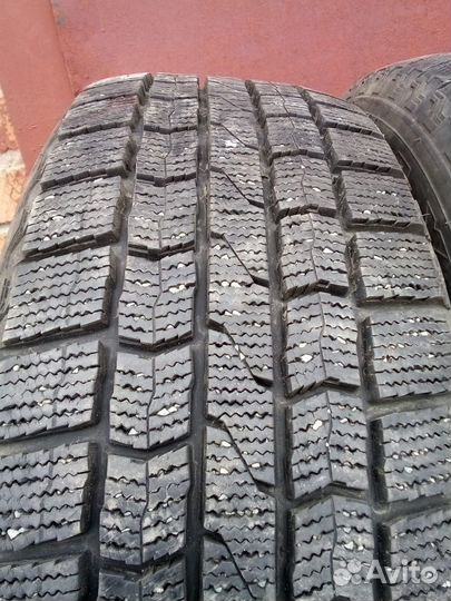 Maxxis SP3 Premitra Ice 205/60 R16